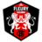 FC Fleury 91 W